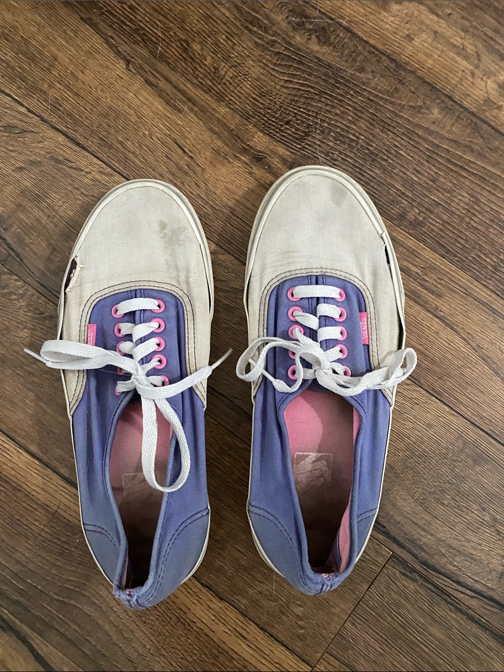 Vans Low Top Canvas Sneakers